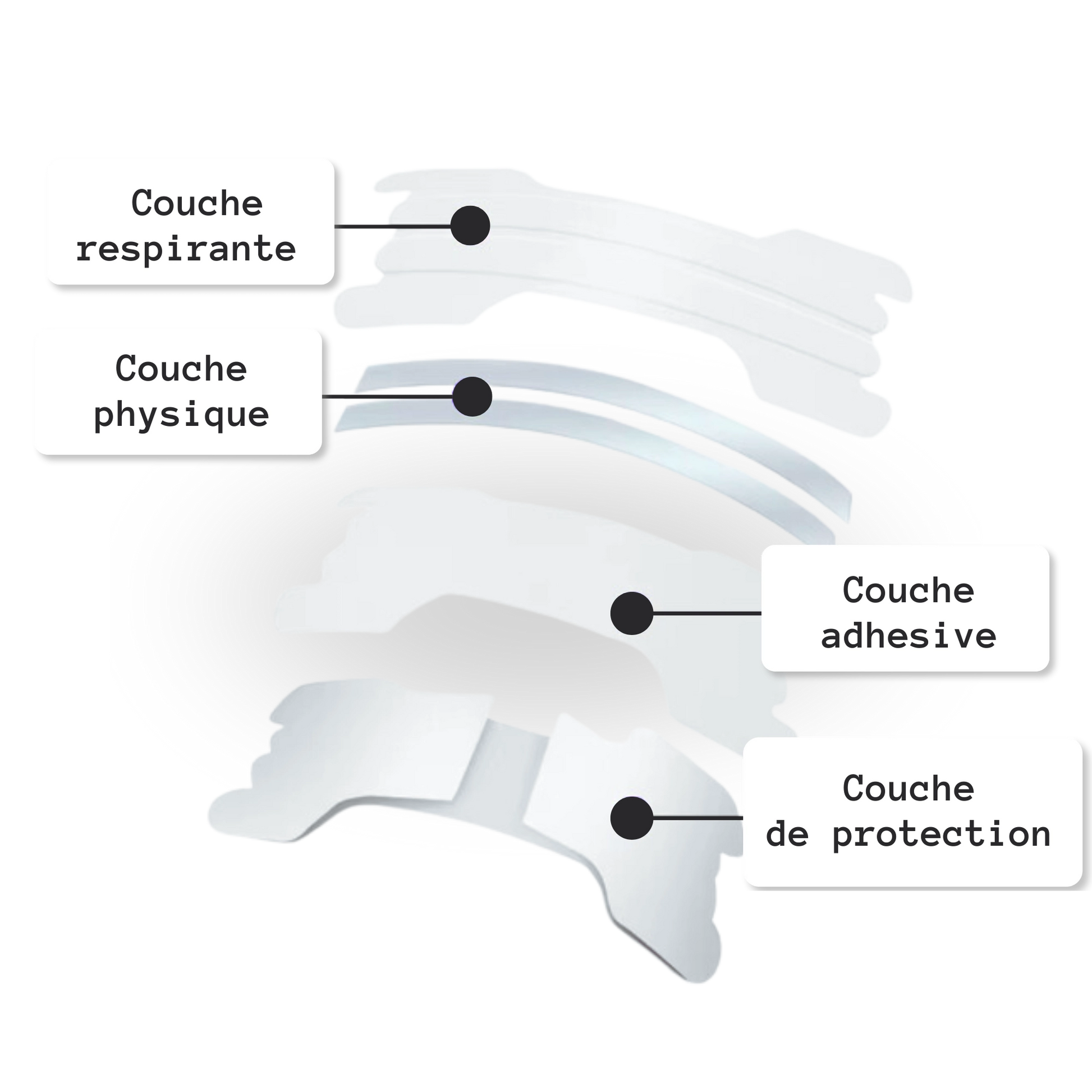 Structure bande  nasale