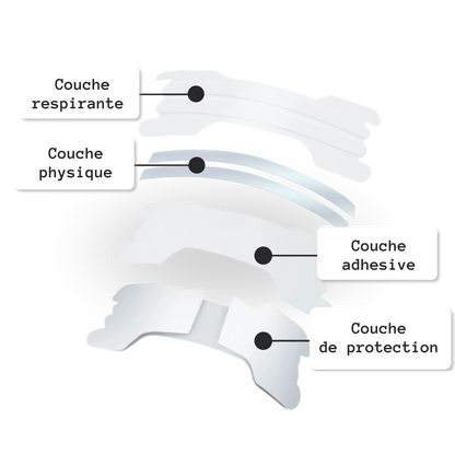 Structure bande  nasale